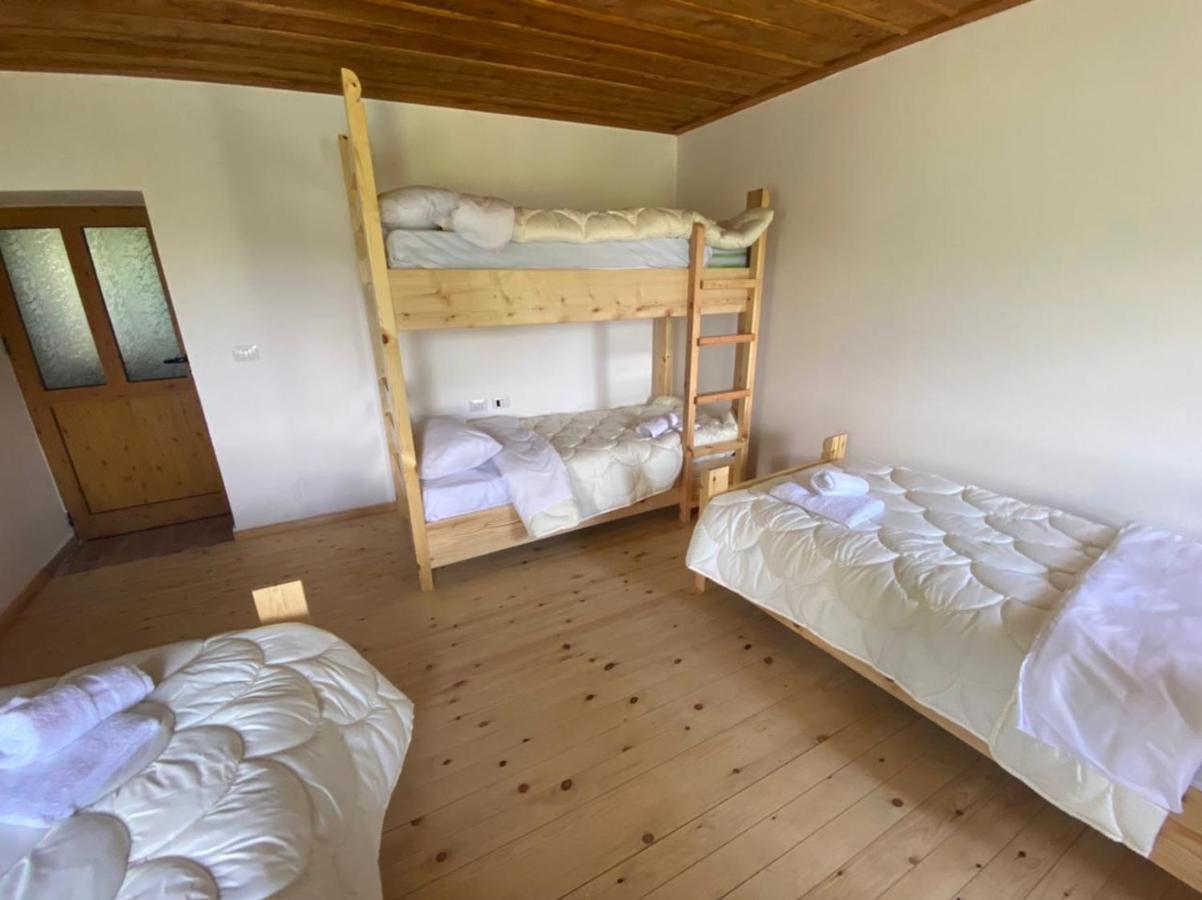 Guest House Qafe Dardha - Tomorr National Park Qafe Dardhe 外观 照片